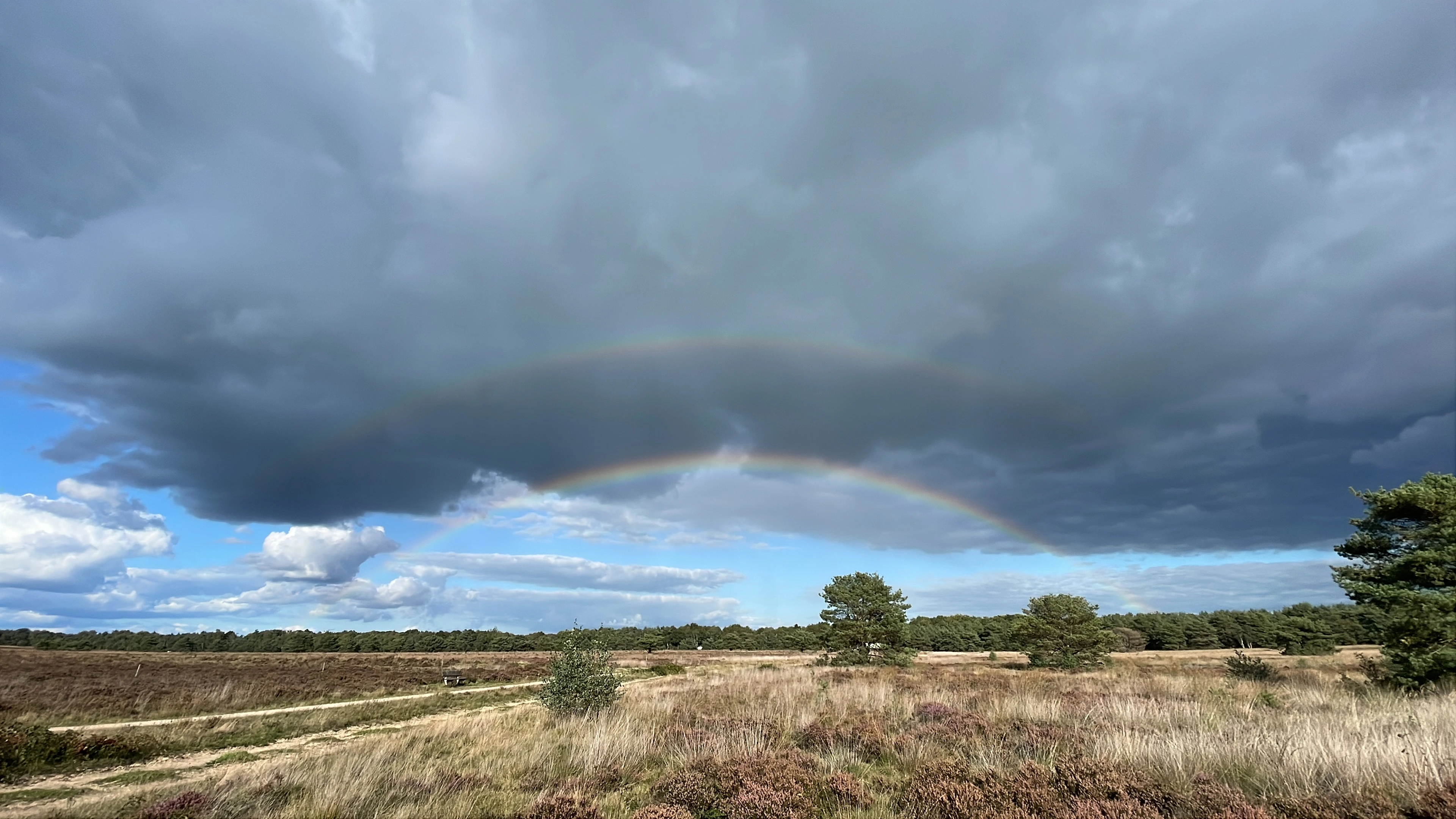 HSP op de Veluwe ✨🌳